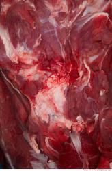 Photo Textures of RAW Pork Meat